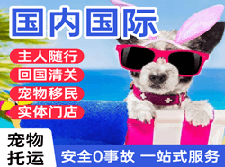 观音航空运输国际宠物托运 【国